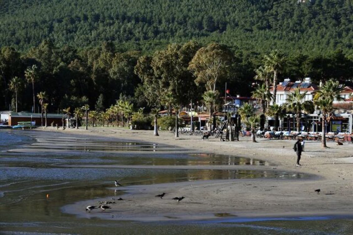 Muğla'da Deniz 12 Metre Çekildi! Deprem Habercisi mi? görseli