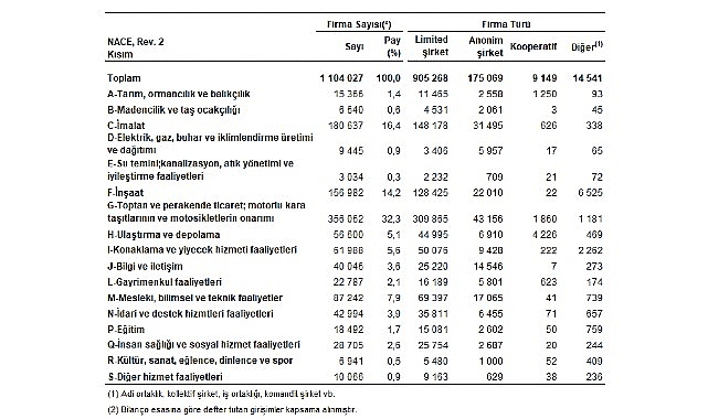 Sektör Bilançoları, 2024 görseli