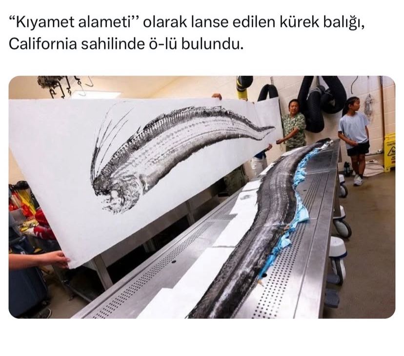 Felaket habercisi kıyıda!! görseli