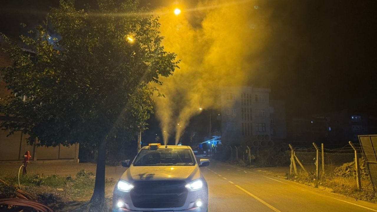 Ordu Büyükşehir sineksiz bir yaz için sahada görseli