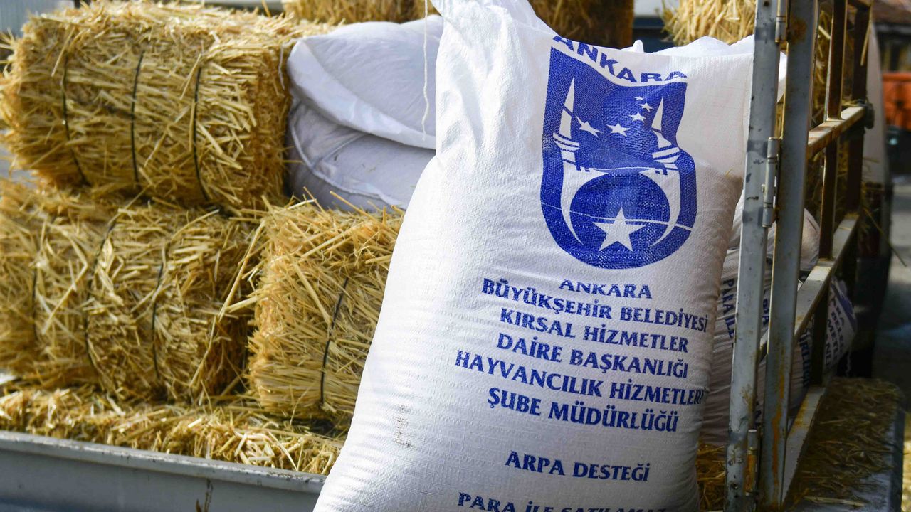 ABB’nin kırsal kalkınma destekleri sürüyor görseli