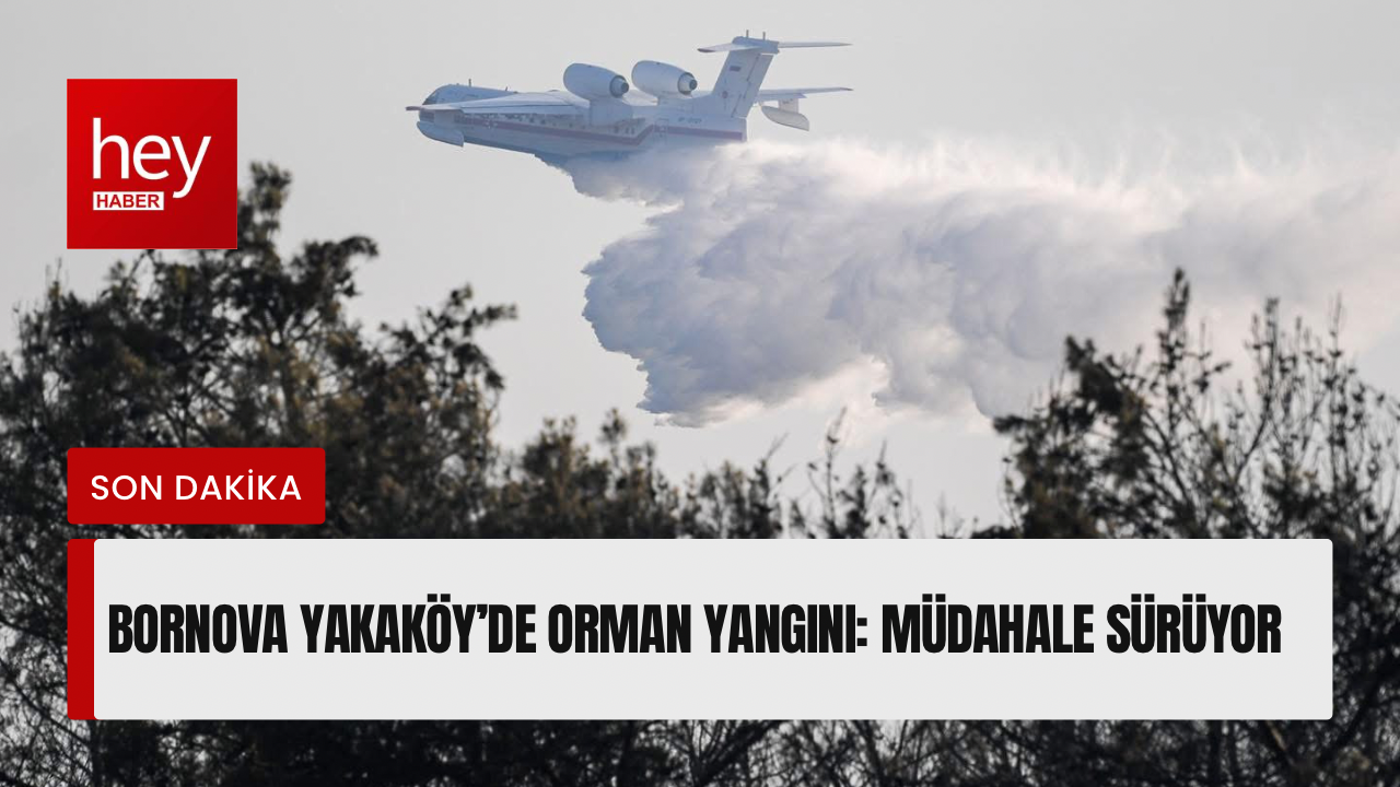 Bornova Yakaköy’de Orman Yangını: Müdahale Sürüyor görseli