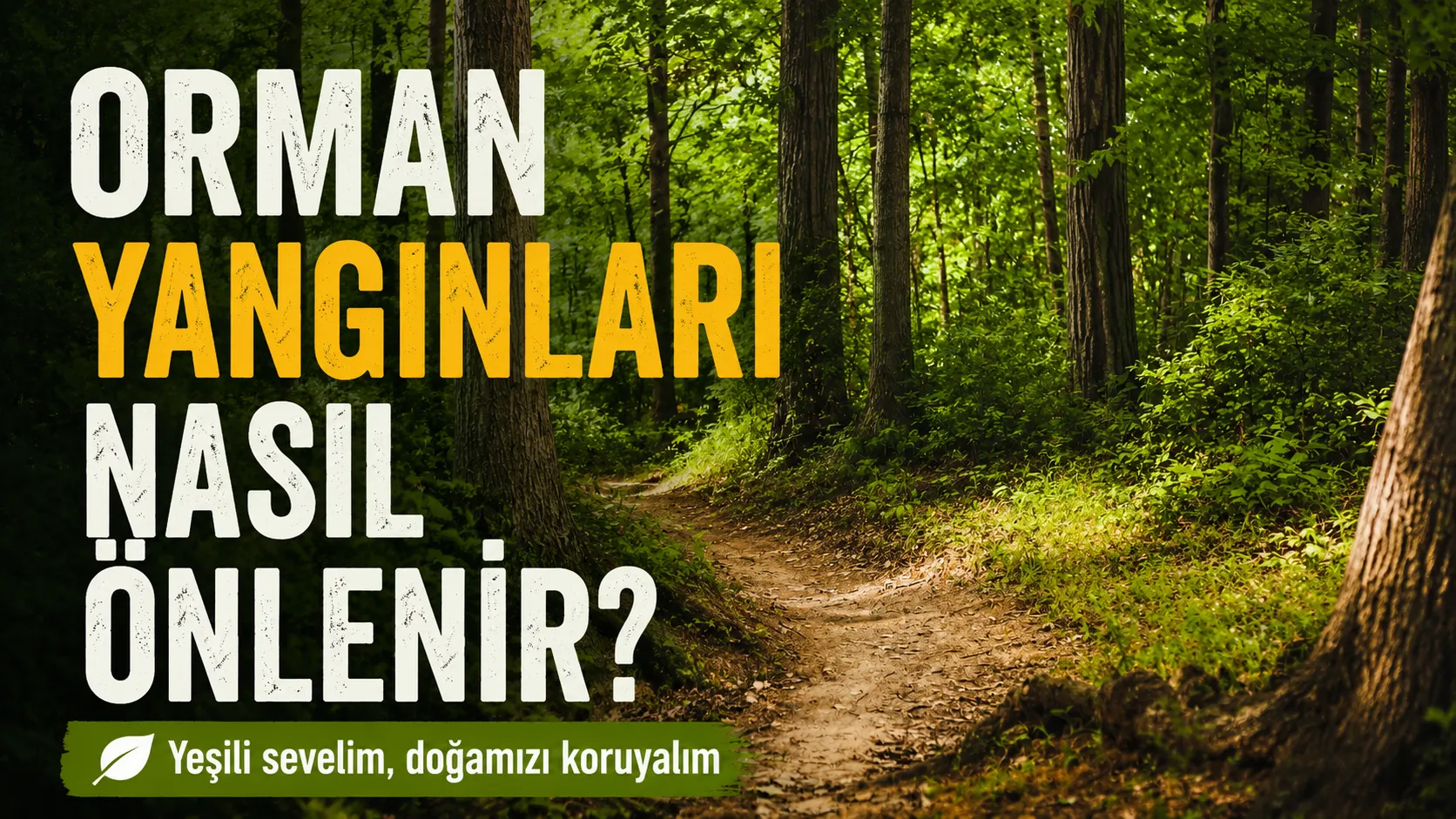 Orman yangınları nasıl önlenir