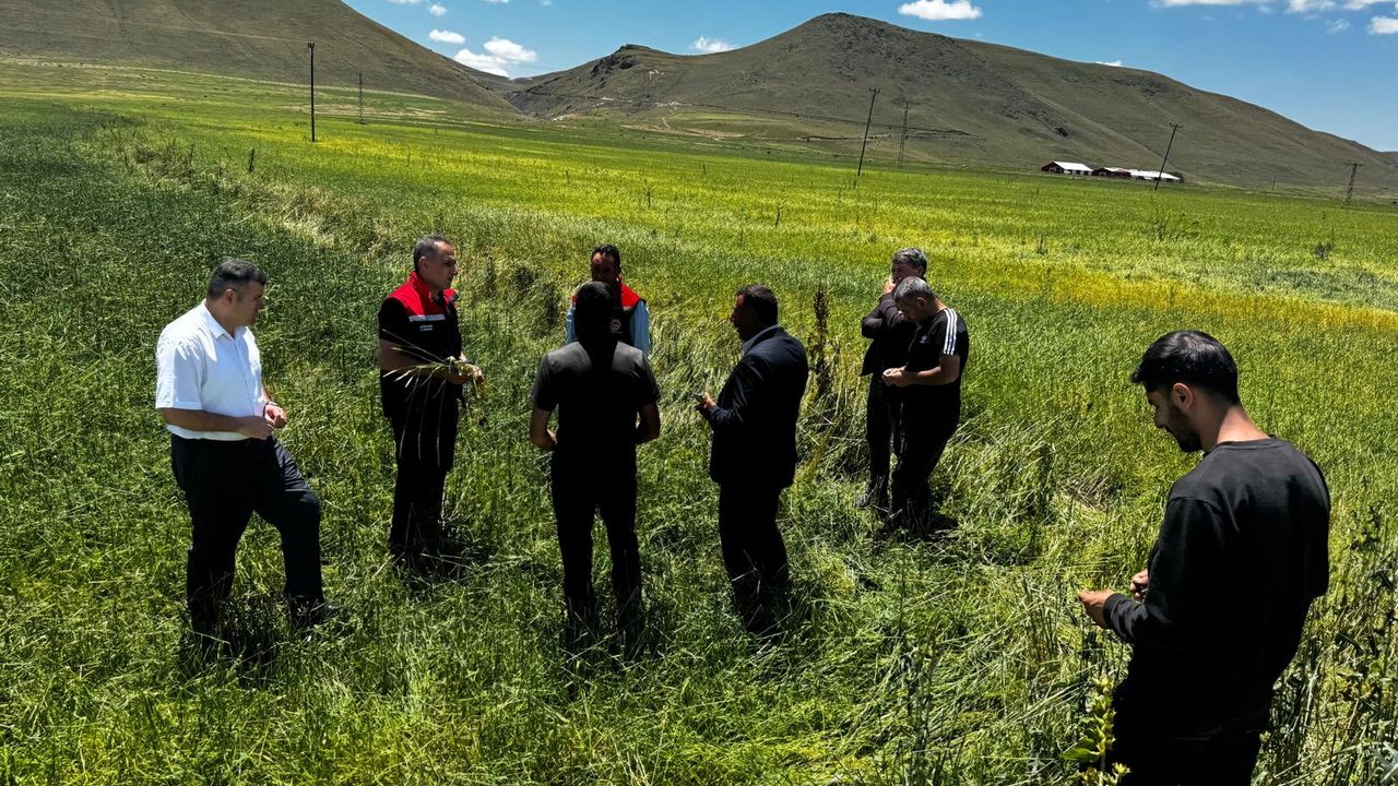 Kars Tarım ve Orman İl Müdürü Enver Aydın, Dolu Zararını Yerinde İnceledi görseli