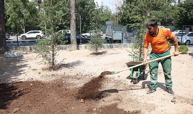 Bahriye Üçok Parkı yenilendi görseli