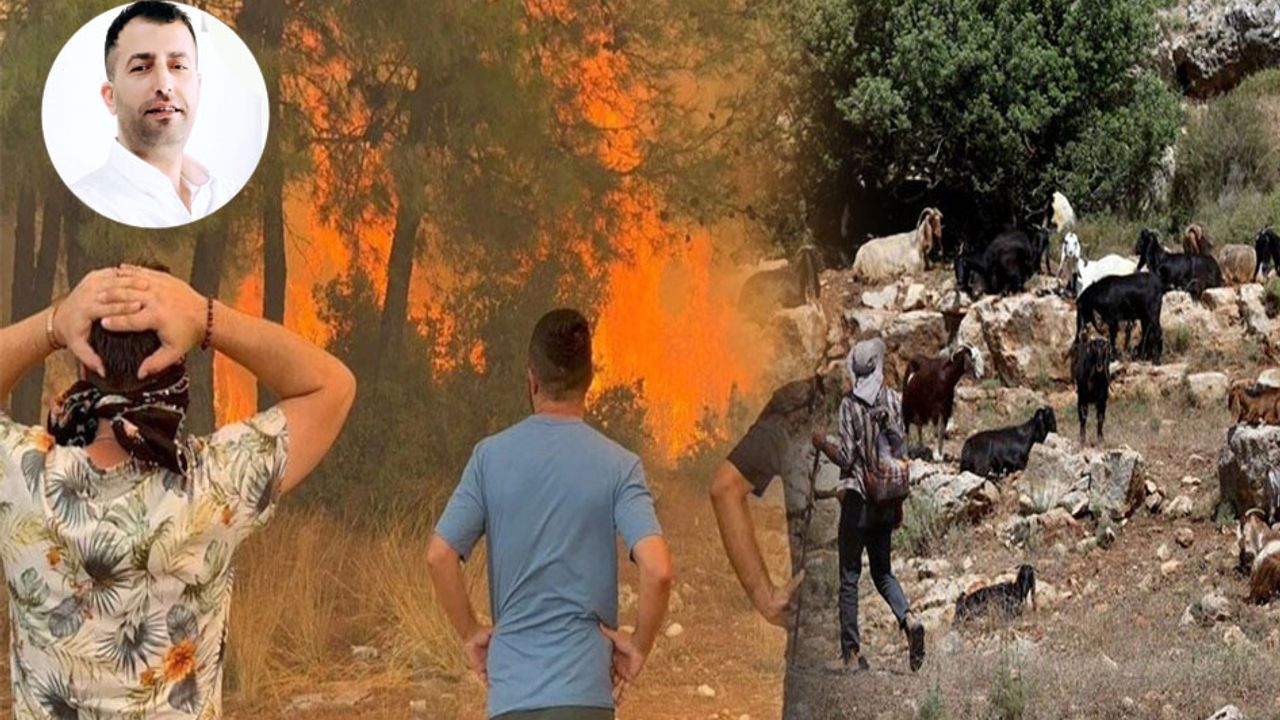 Bir kara keçinin yokluğu bin ağaç yakar görseli
