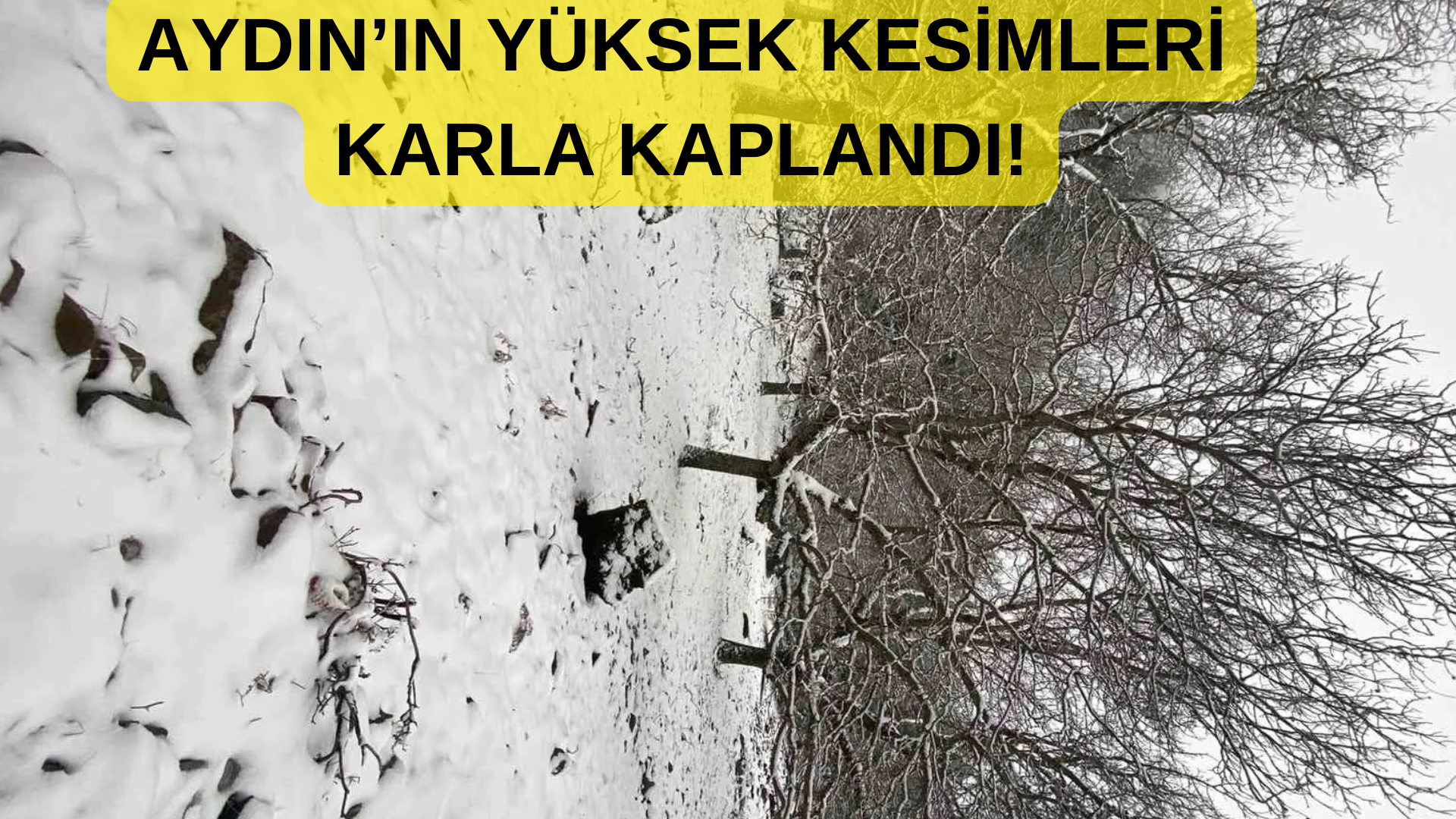 Aydın Kar Yağışı! Okullar Tatil Mi? görseli