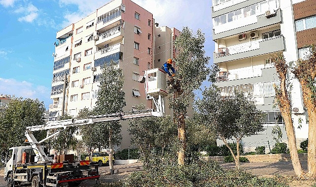 Buca’da budama seferberliği görseli
