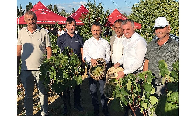 Başkan Büyükakın, İzmit'te üzüm hasadına katıldı görseli