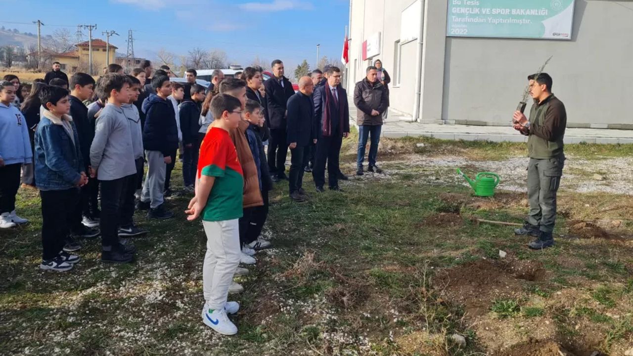 Kemer’de insan hakları için fidanlar dikildi görseli