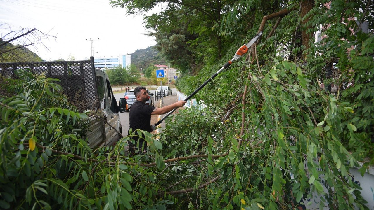 Giresun Belediyesi şehir estetiğine önem veriyor görseli