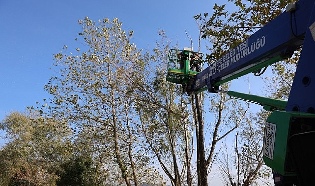 Kartepe’de Yeşil Alanlara Bakım görseli