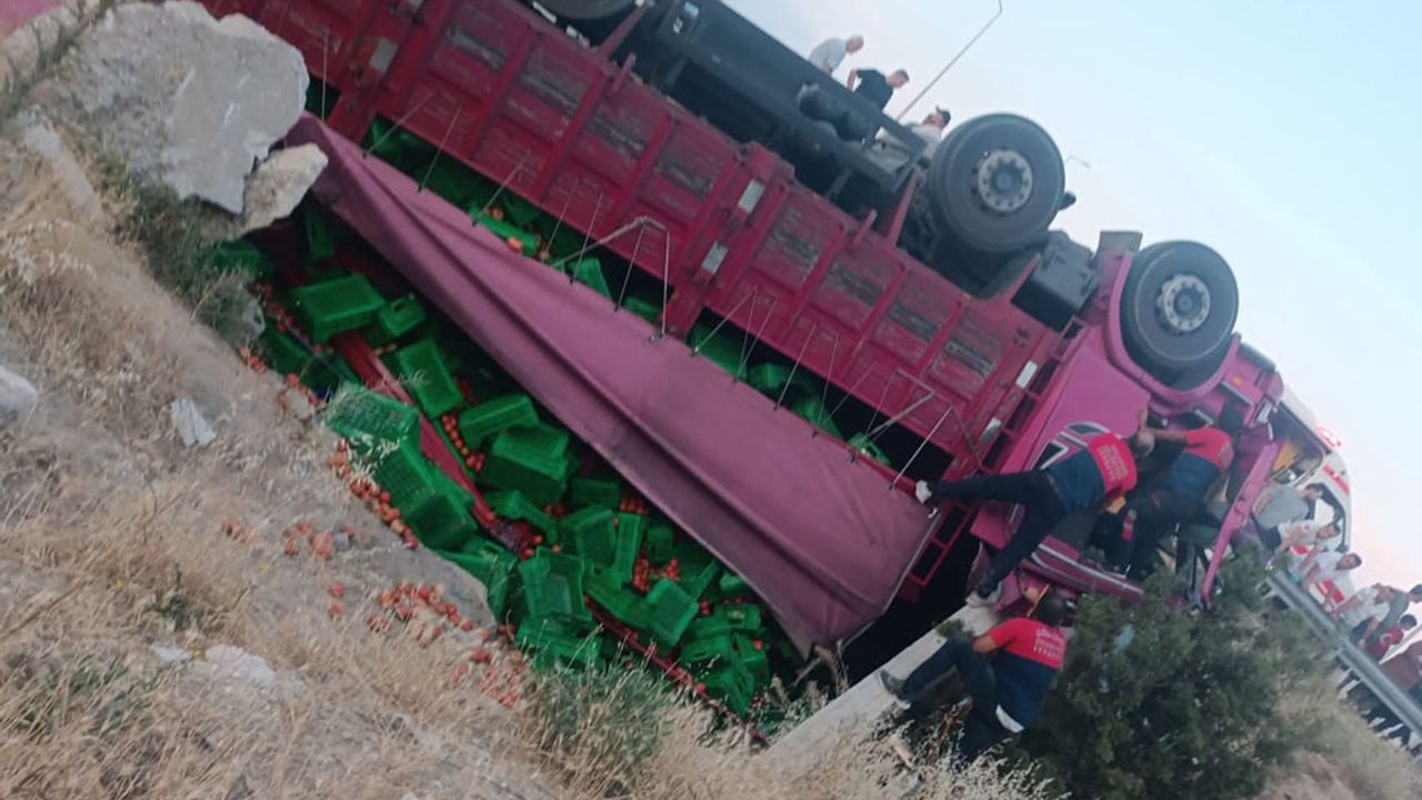 Domates yüklü kamyon dereye uçtu, sürücü ağır yaralı görseli