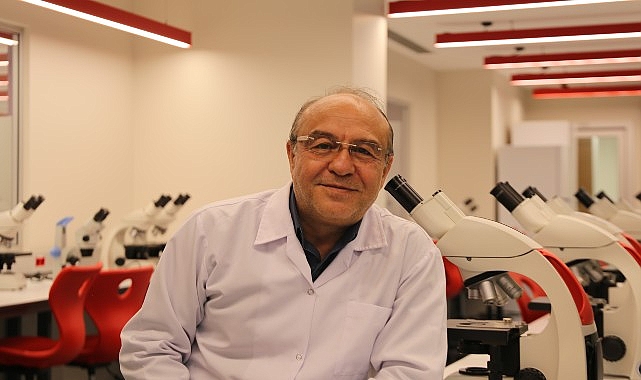 Pestisitler, arı nüfusunu da tehdit ediyor! Arıların yok oluşu zincirleme bir çöküşe sebep olur! görseli