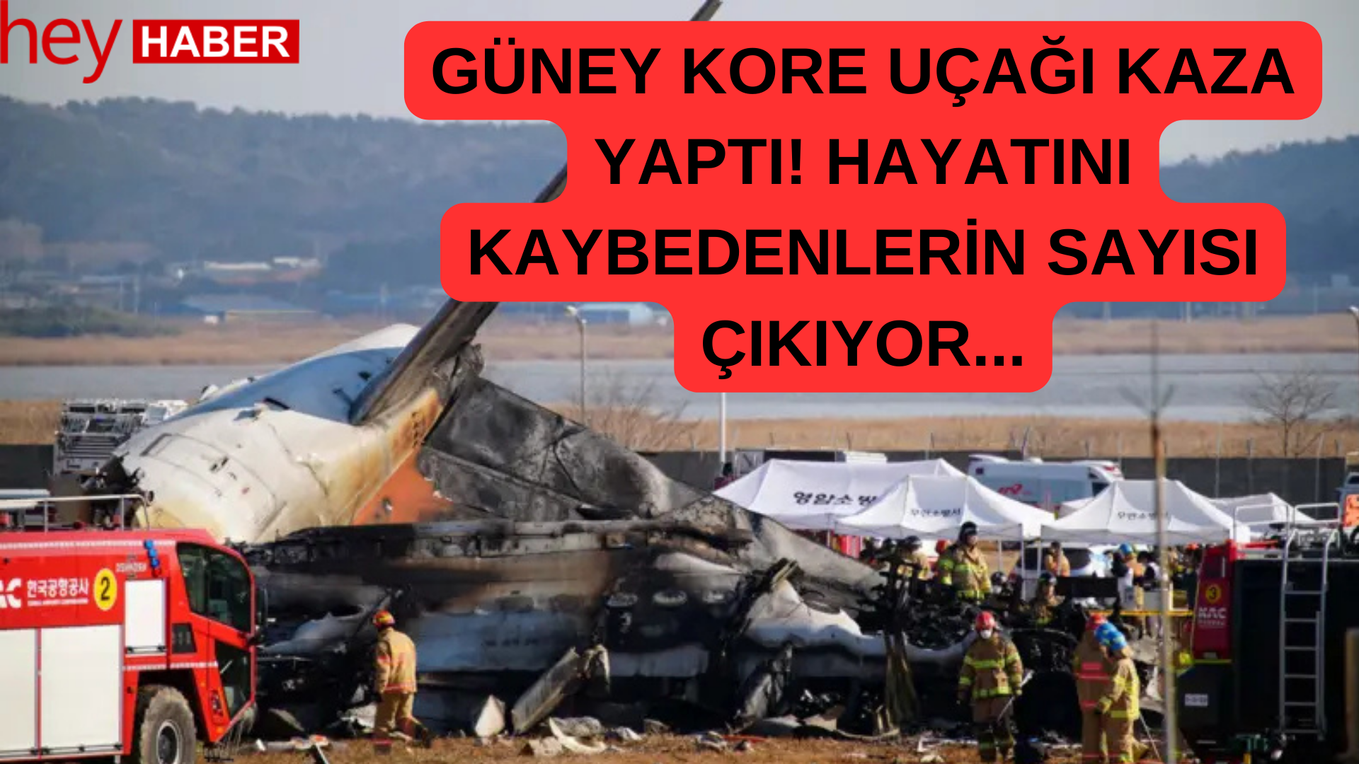 Güney Kore Uçağı Kaza Yaptı! görseli