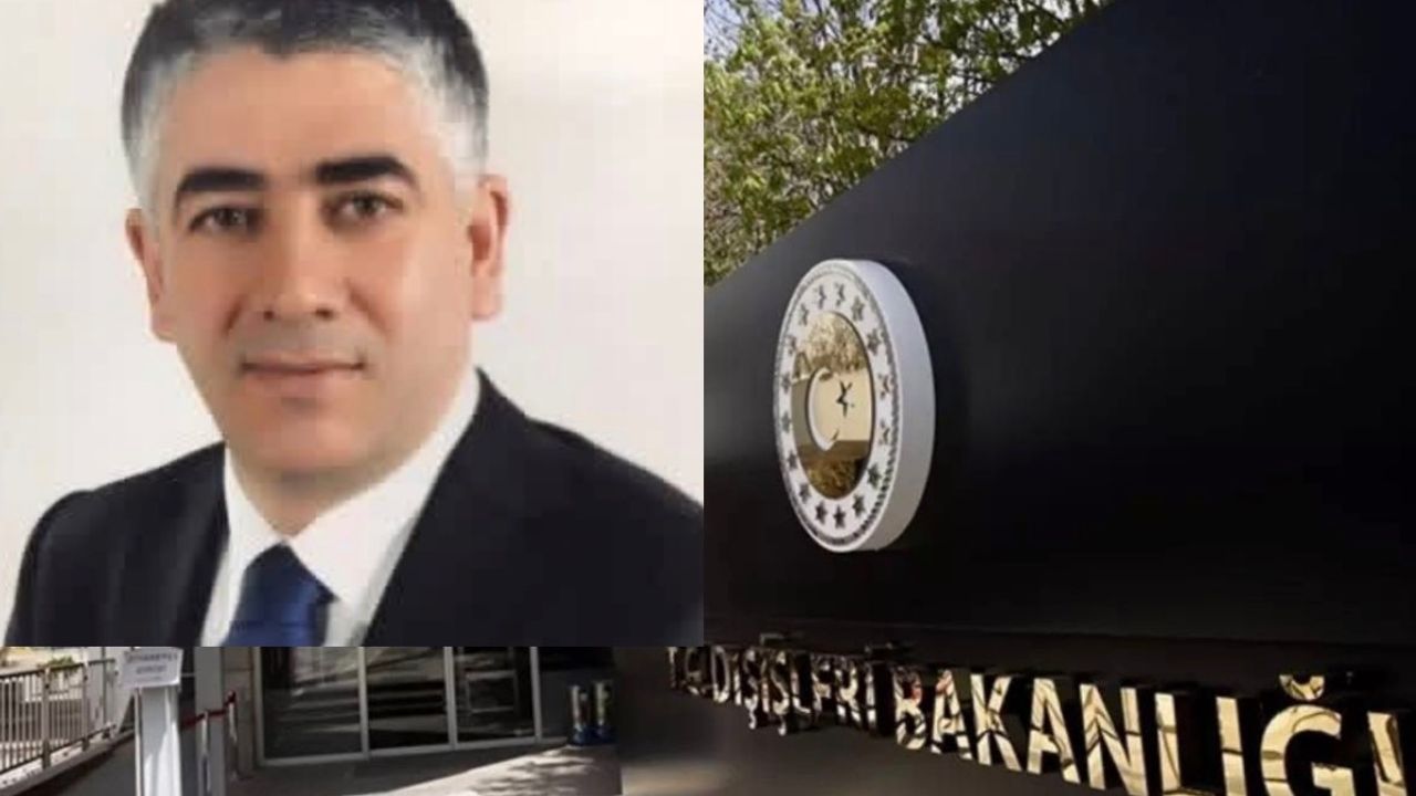 Hacı Ali Özel, Dışişleri bakan yardımcılığına atandı görseli