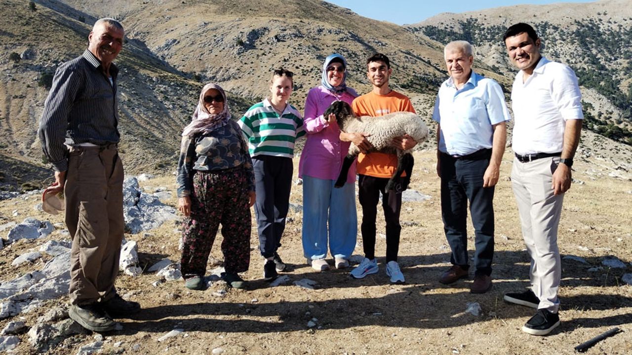Atabey’de koyun projesi başarıyla tamamlandı! görseli