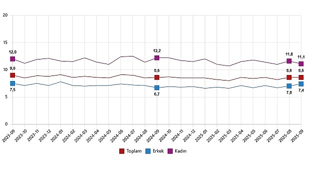 İşgücü İstatistikleri, Eylül 2025 görseli