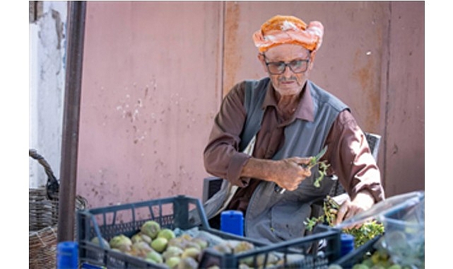 Beydağ incirinin katma değeri artıyor görseli