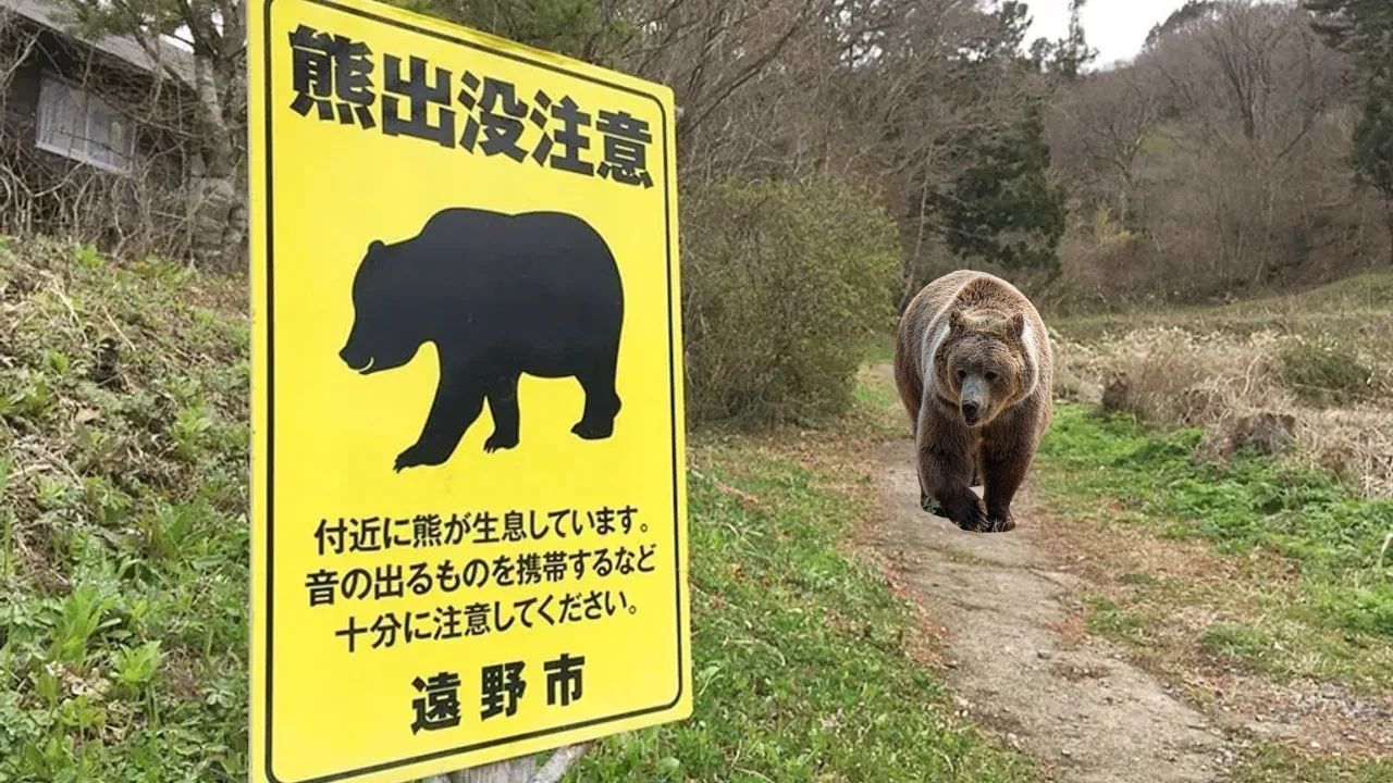 Japonya’da Belediyelere vahşi hayvanlara müdahale yetkisi görseli