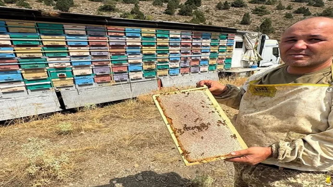 Toroslar’da gezici bal tırıyla doğal bal üretimi görseli