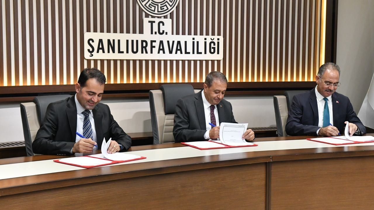 Eyyübiye Belediyesi: "Balıklı Göl dousuna uygun olarak aydınlanacak" görseli