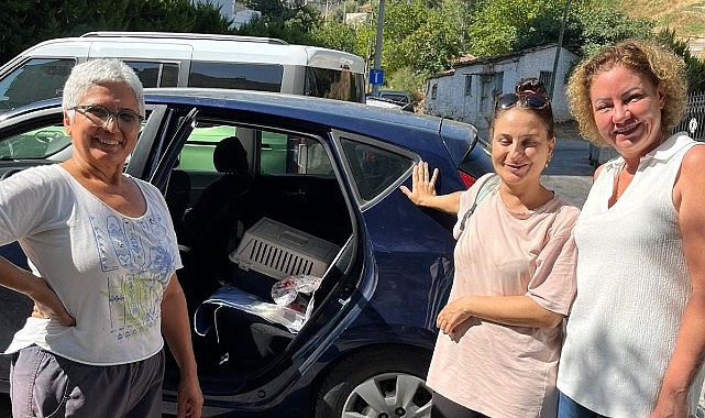 Narlıdere Belediyesi’nden minik dostlar için seferberlik görseli