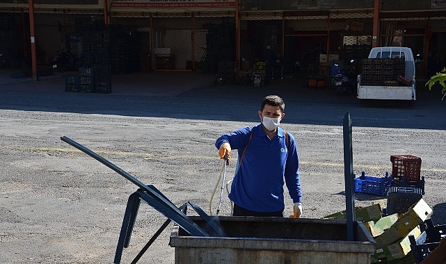 Vektörel mücadele çalışmaları aralıksız devam ediyor görseli