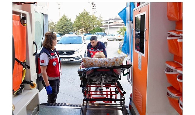 Burhaniye Belediyesi “Evde Bakım Hizmetleri” Devam Ediyor görseli