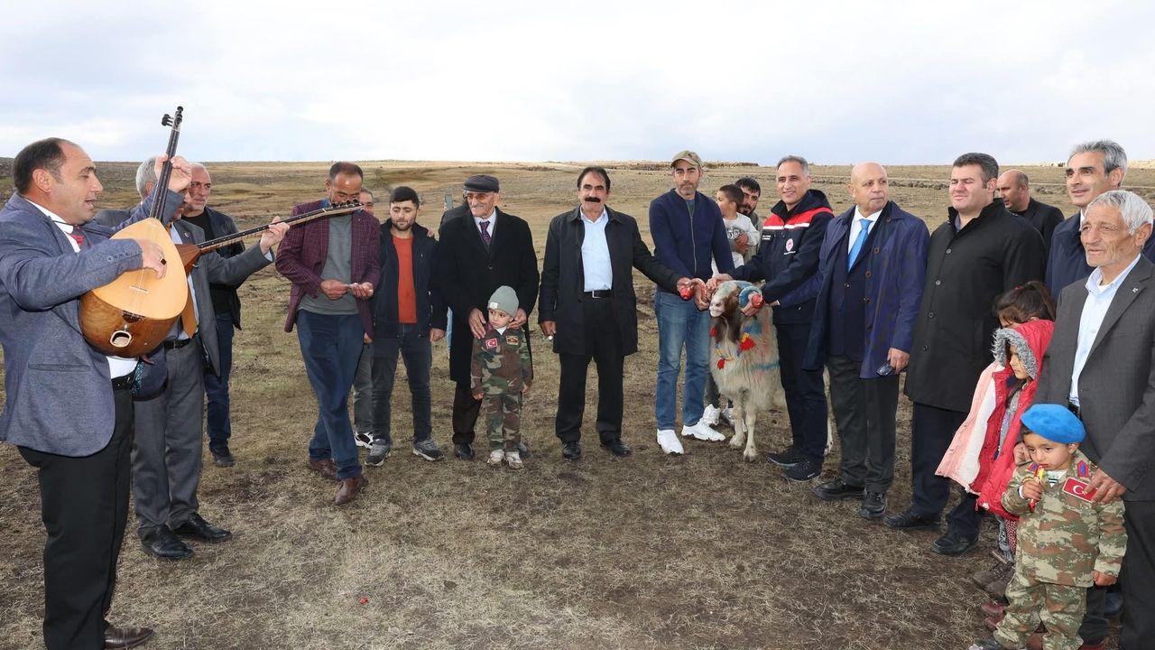 Kars'ta "Koç Katım Geleneği" coşkuyla sürdürülüyor görseli