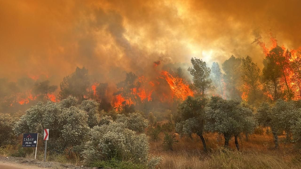 12 ilde 65 orman yangını: 44 gözaltı, 10 tutuklama görseli