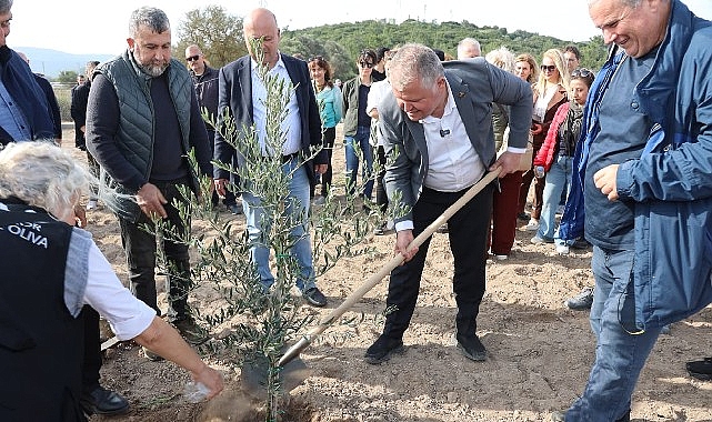 Atatürk’ün Vasiyeti Urla’da Hayata Geçti: Zeytin Koleksiyon Bahçesi’nde İlk Fidan Dikimi görseli