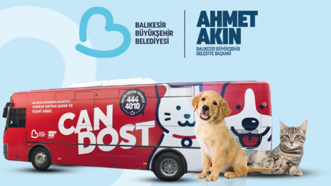 Can dostların bakım ve tedavileri tam gaz devam ediyor görseli