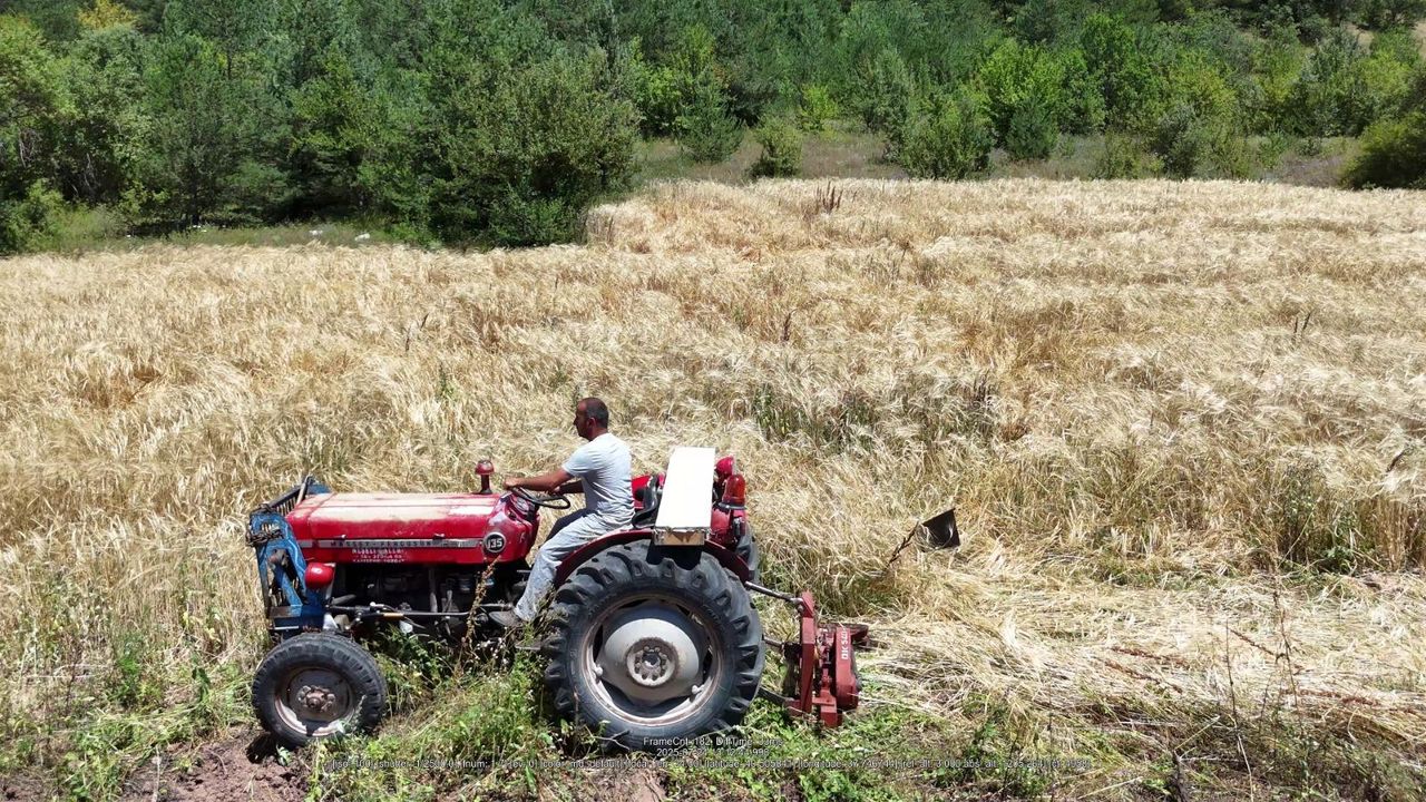 İstanbul’dan Ordu’ya uzanan çiftçilik öyküsü başarıya dönüştü görseli