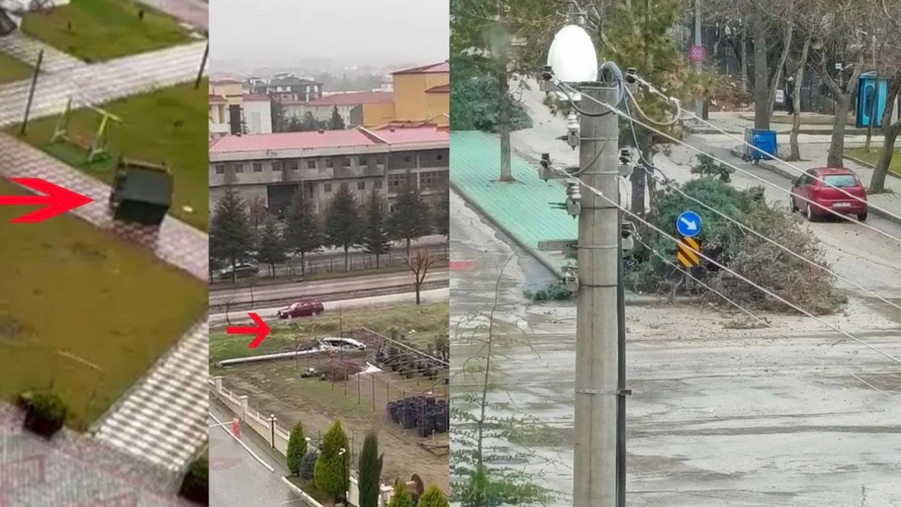 Şiddetli rüzgarda ağaçlar devrildi kamelyalar uçtu görseli