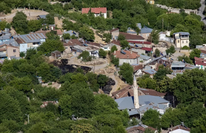 Elazığ'da Çiçek Hastalığı Alarmı: 6 Köy Karantinada görseli