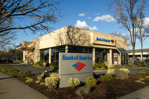 Bank Of America / Kapitalizmi Ateşe Verdiler! görseli