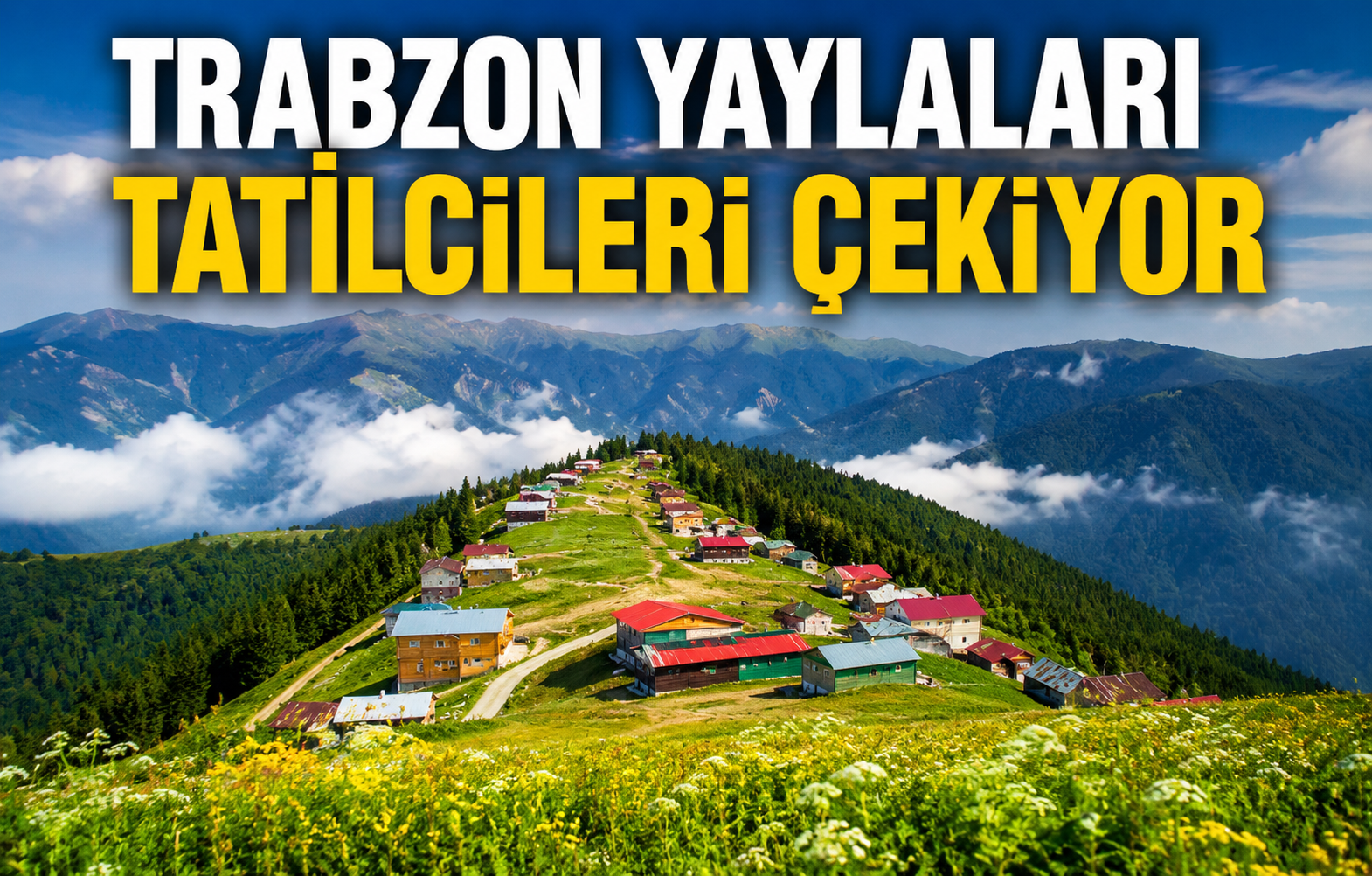 Trabzon Yaylaları Tatilcileri Çekiyor görseli