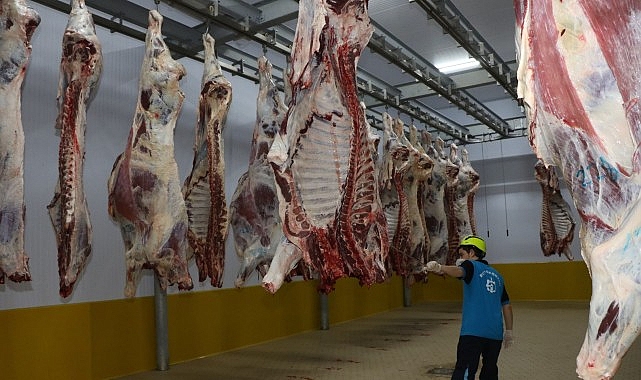 Kasapların tercihi Büyükşehir Mezbahası görseli