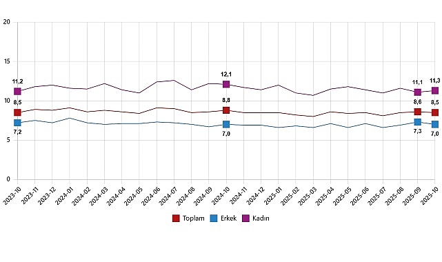 İşgücü İstatistikleri, Ekim 2025 görseli