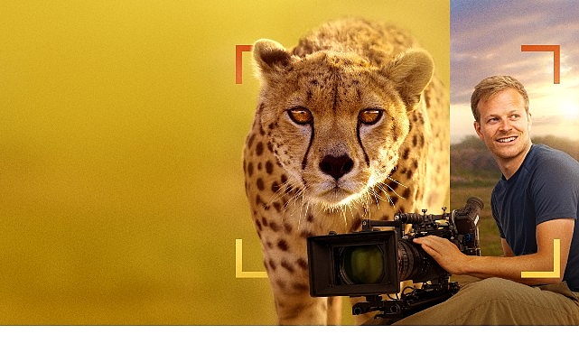 ‘Bertie Gregory Çitalarla Yüz Yüze’, 3 Ocak Cumartesi 20.00’de National Geographic WILD Ekranlarında! görseli