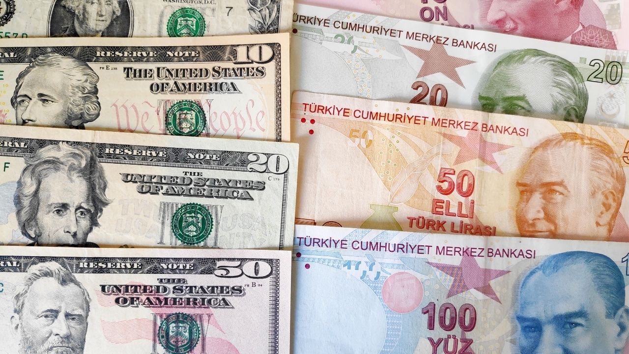 Firmaların net döviz açığında temmuzda düşüş görseli
