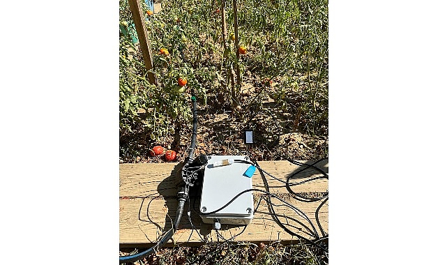 BİLGİ’li öğrencilerden sürdürülebilir tarıma katkı: Elektronik Kontrollü Damla Sulama Sistemi görseli