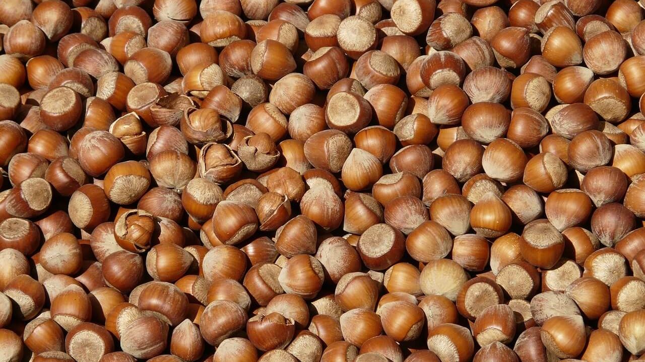 Doğu Karadeniz’in ocak ayı ihracatı 125,5 milyon doları geçti görseli