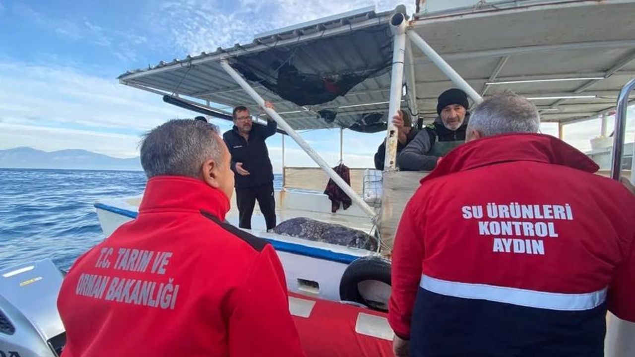 Aydın'da su ürünleri denetimi sürüyor görseli
