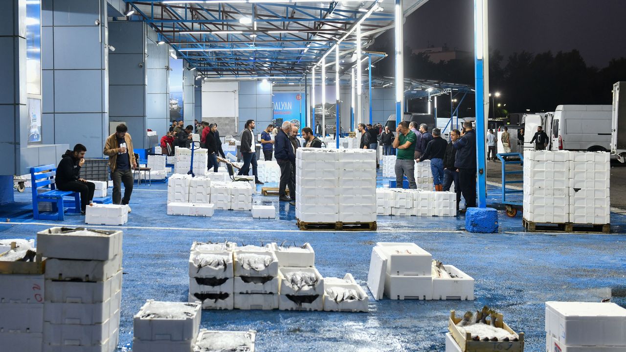 Balık avı sezonu açıldı görseli