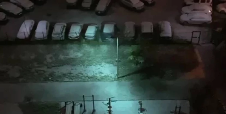 İstanbul’da Kar Alarmı: Megakent Beyaza Büründü, Sıcaklıklar Sıfıra Dayandı! görseli