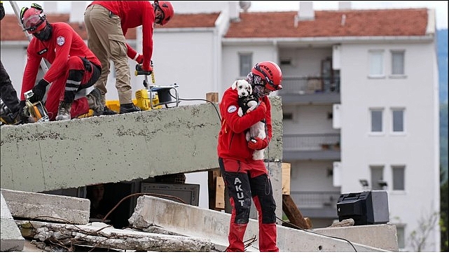 Torbalı'da Hayvan Arama Kurtarma Eğitimi görseli