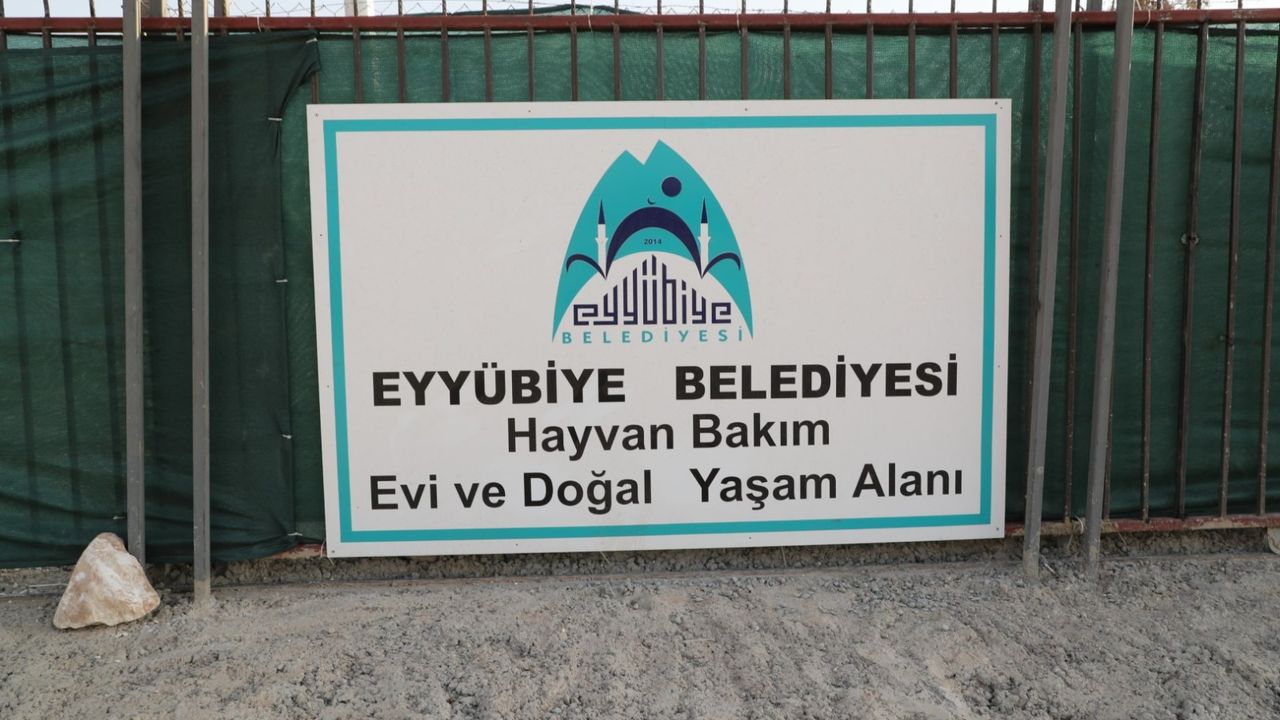 Eyyübiye, sokak hayvanları sorununu çözdü görseli
