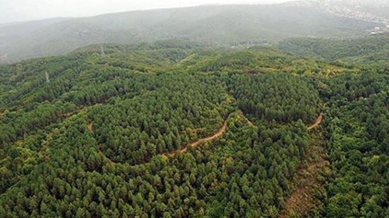 Türkiye’de doğal sit alanı 28 bin 907 kilometrekareye yükseldi görseli
